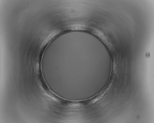 X0000091480202200709061846