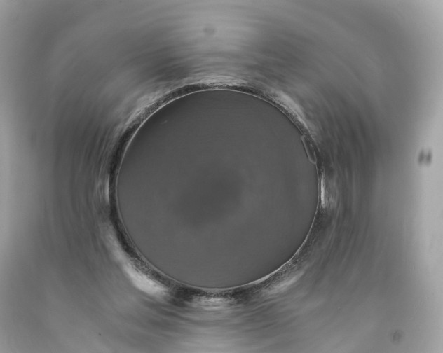 X0000091480205200709061846