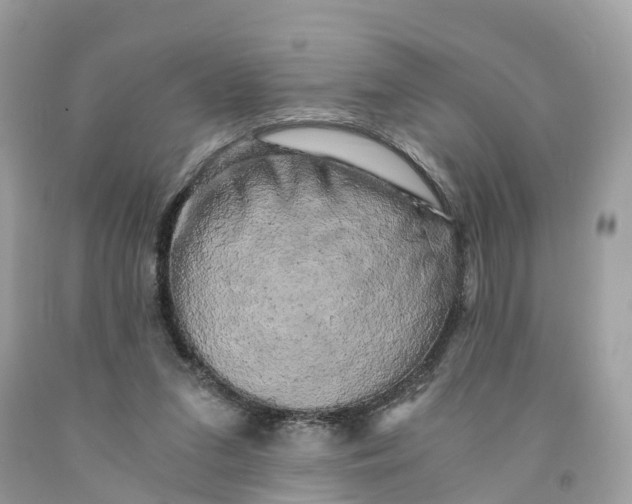 X0000091480207200709061846