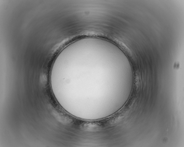 X0000091480208200709061846