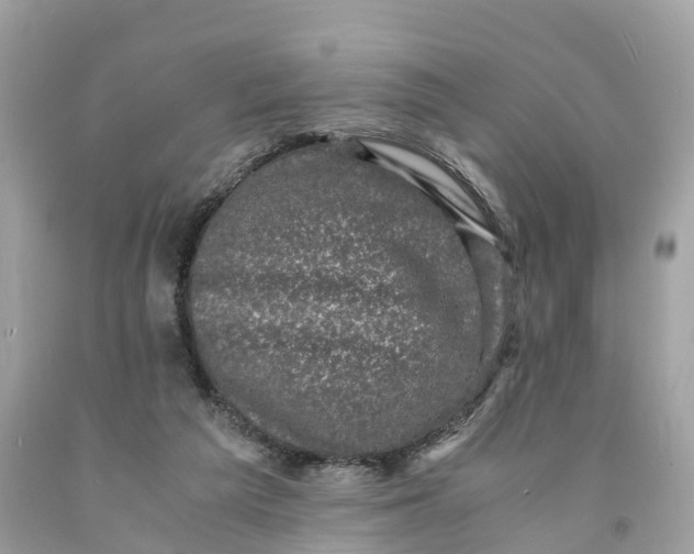 X0000091480209200709061846