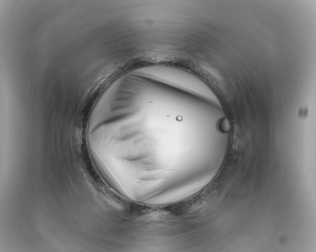 X0000091480210200709061846