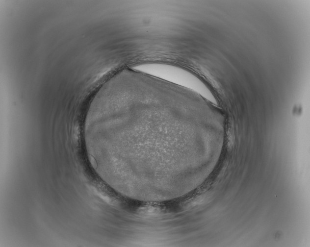 X0000091480211200709061846