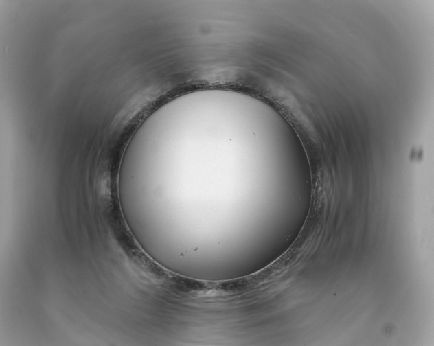 X0000091480212200709061846