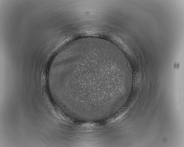 X0000091480213200709061846