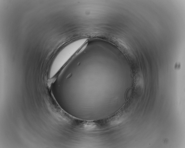 X0000091480214200709061846