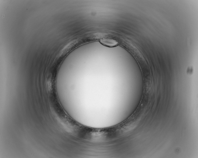 X0000091480216200709061846