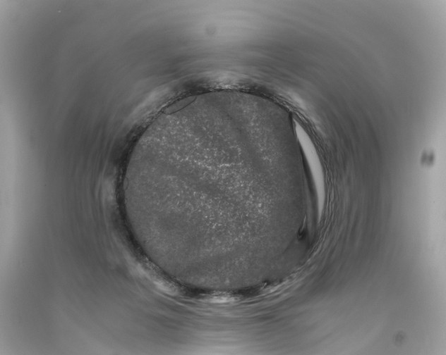 X0000091480217200709061846