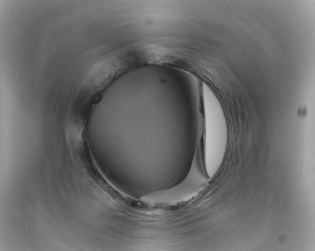 X0000091480219200709061846