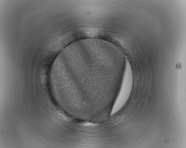 X0000091480221200709061846