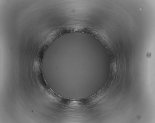 X0000091480222200709061846