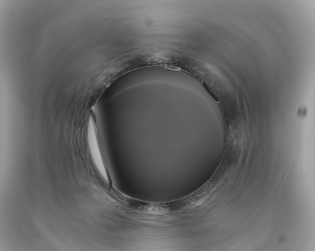 X0000091480223200709061846