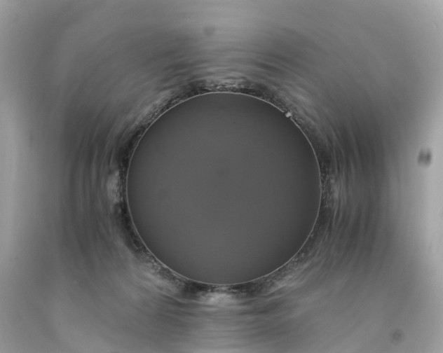 X0000091480224200709061846