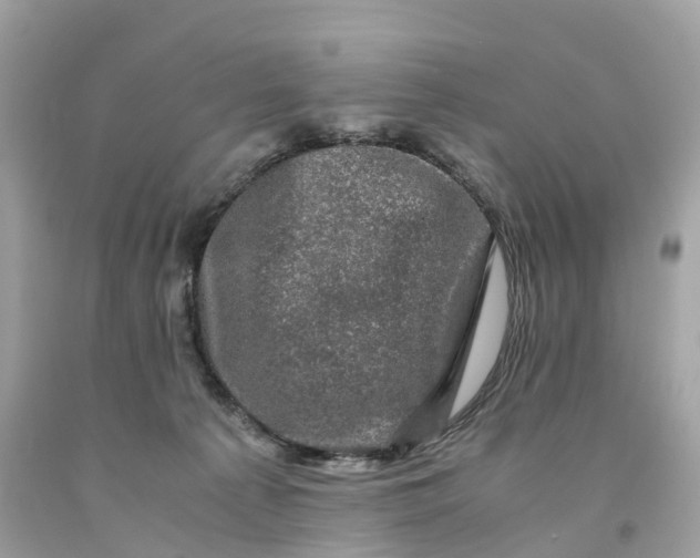 X0000091480225200709061846