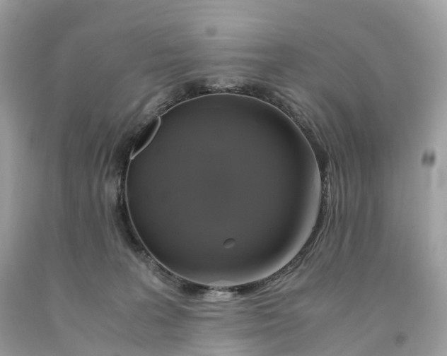 X0000091480227200709061846