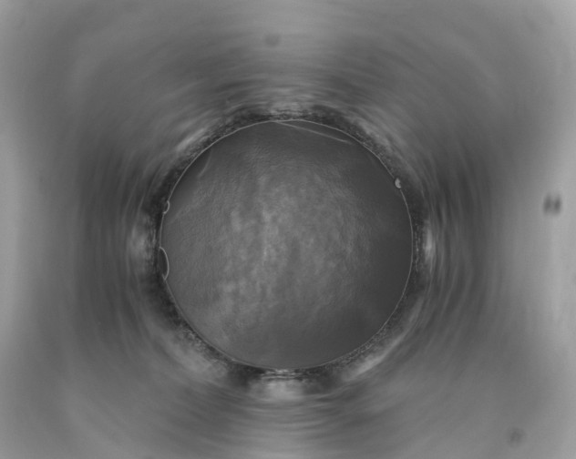 X0000091480228200709061846