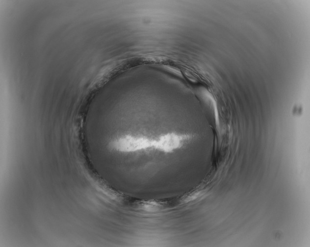 X0000091480229200709061846