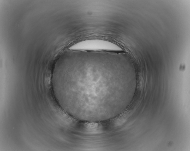 X0000091480230200709061846