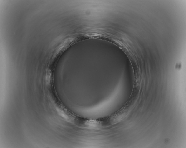 X0000091480231200709061846