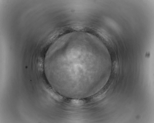 X0000091480234200709061846