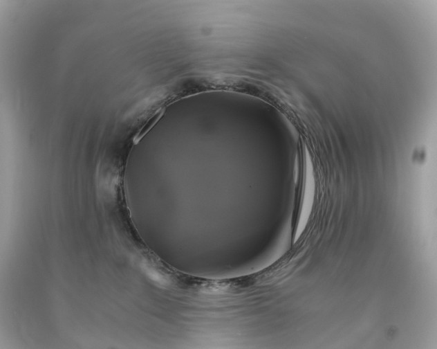 X0000091480235200709061846