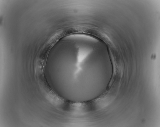 X0000091480237200709061846