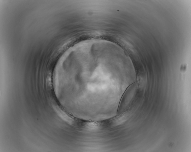 X0000091480238200709061846