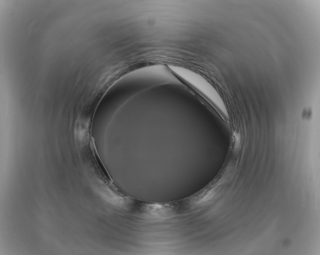 X0000091480239200709061846