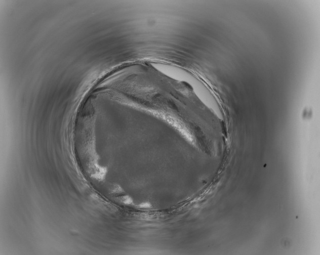 X0000091480241200709061845