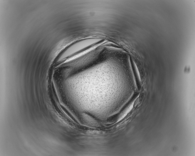 X0000091480242200709061845