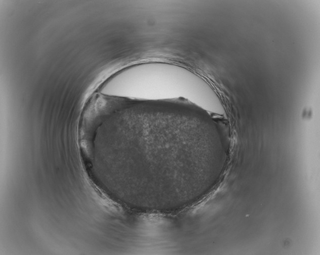 X0000091480244200709061845