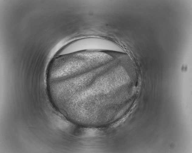 X0000091480246200709061845