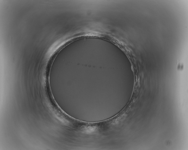 X0000091480247200709061845