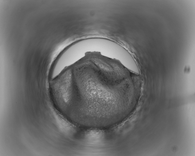 X0000091480248200709061845