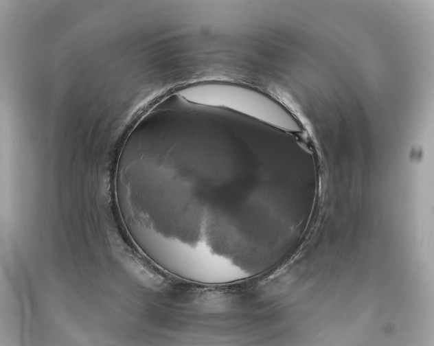 X0000091480249200709061845