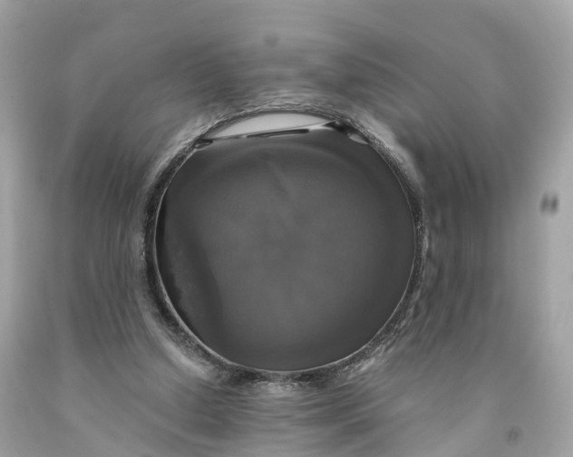 X0000091480250200709061845