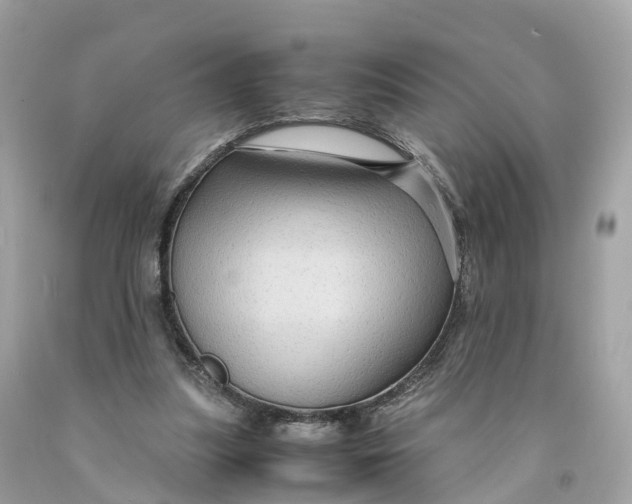 X0000091480251200709061845