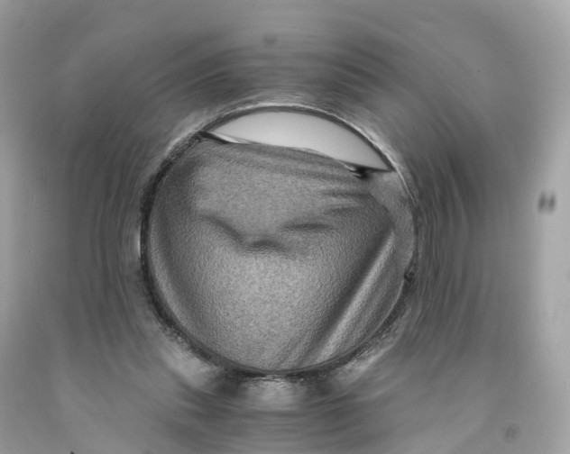 X0000091480253200709061845