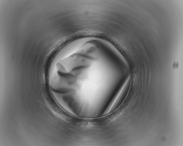 X0000091480254200709061845