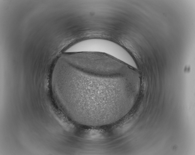 X0000091480255200709061845