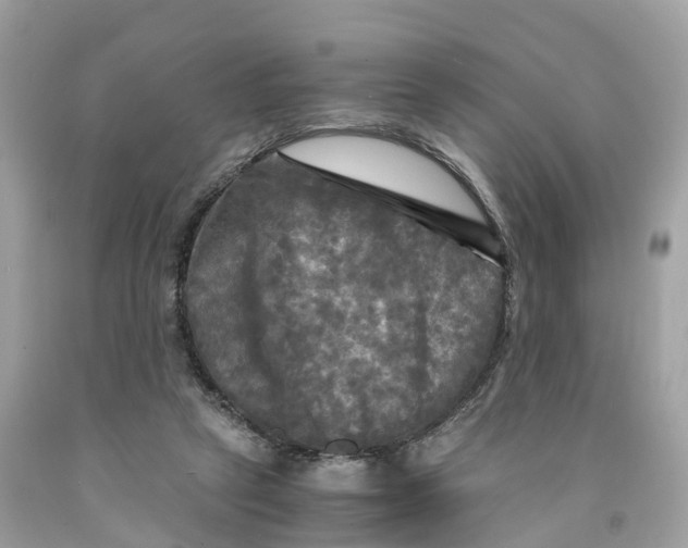 X0000091480257200709061846