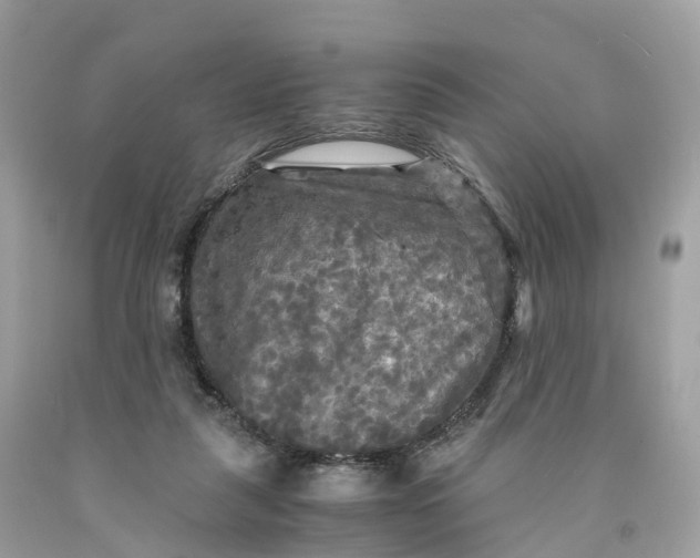 X0000091480259200709061846