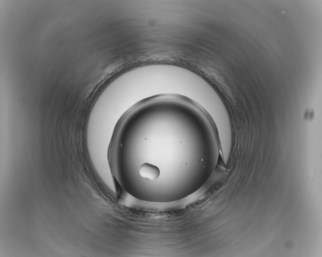 X0000091480260200709061846