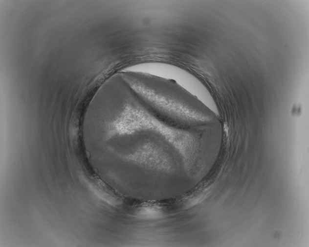 X0000091480263200709061846