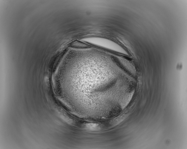 X0000091480265200709061846