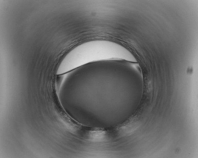 X0000091480266200709061846