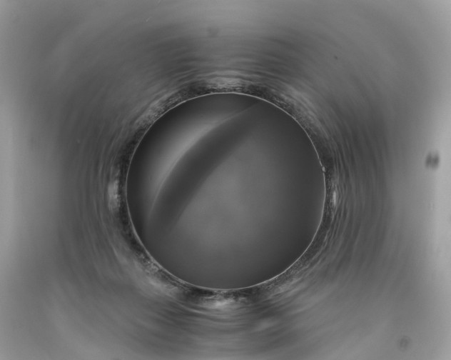 X0000091480267200709061846