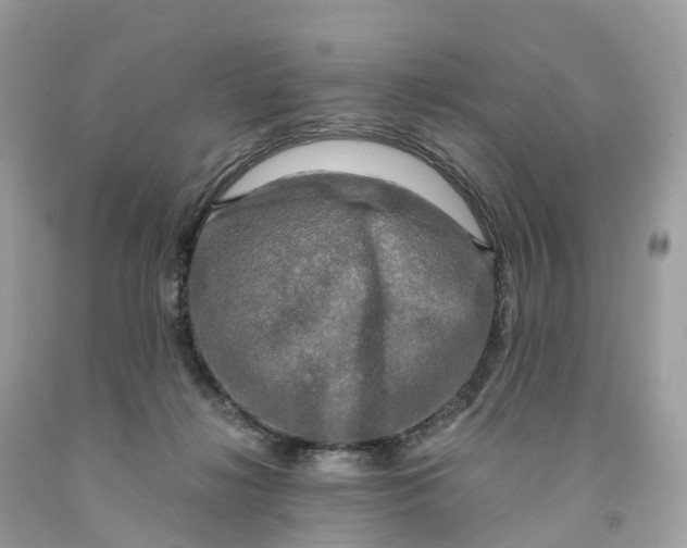 X0000091480268200709061846