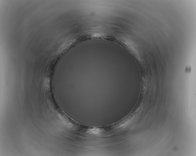 X0000091480269200709061846