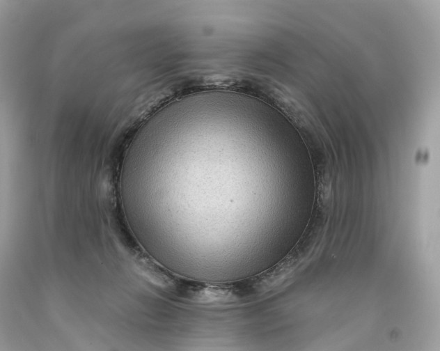 X0000091480270200709061846